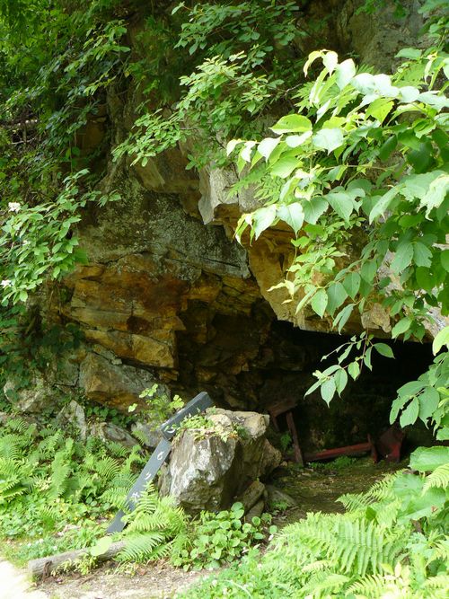 �������茊