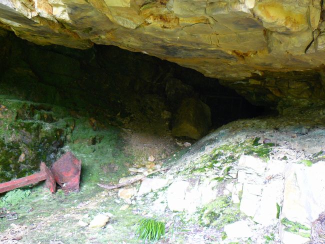 �������茊