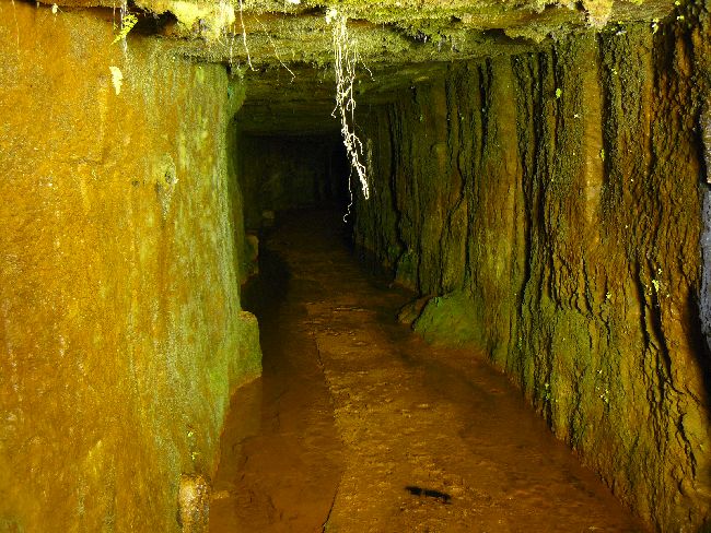 �a���R��