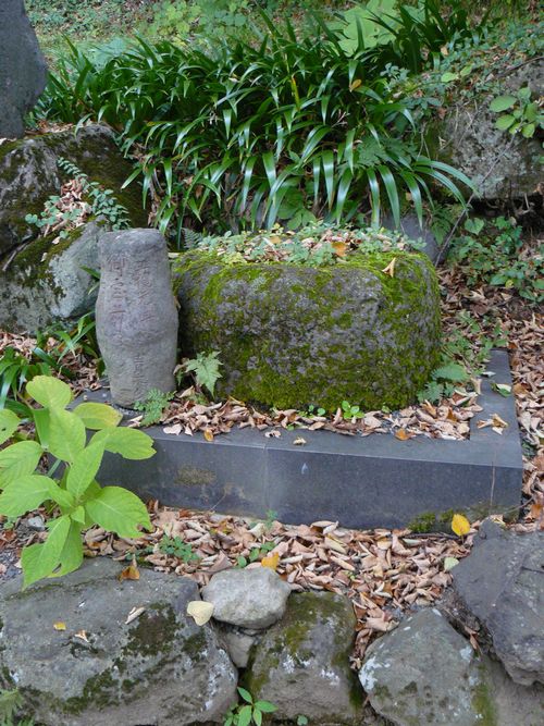 �ŏ�`���͐�