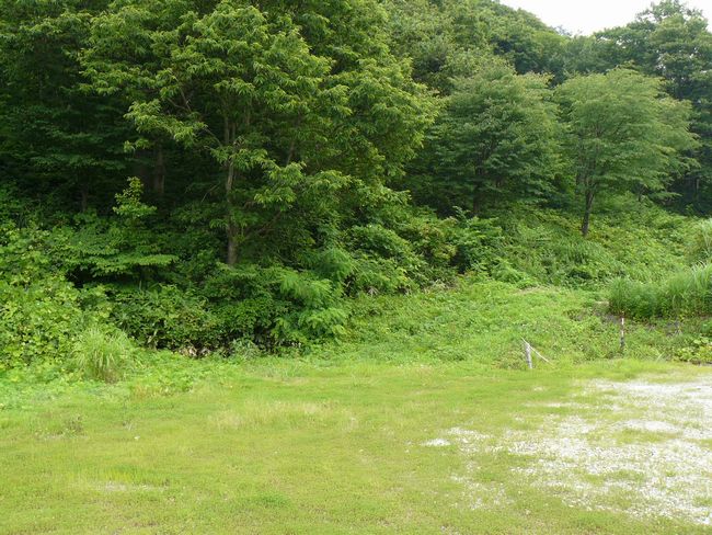 �\����ԏ�