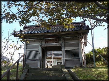 ���C�R���t��