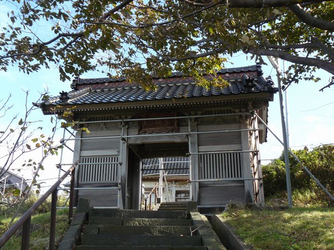 ���C�R���t��