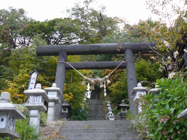 �|�쉷��_��