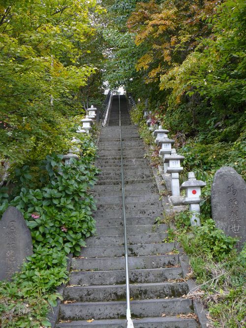 �|�쉷��_��