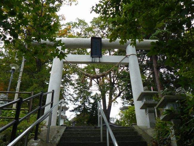 �|�쉷��_��