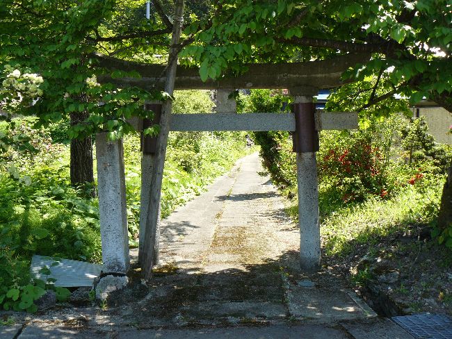 �����_��