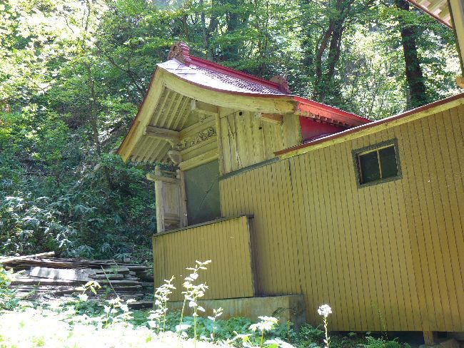 �����_��