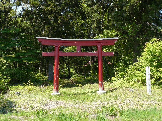 �J�n�s����