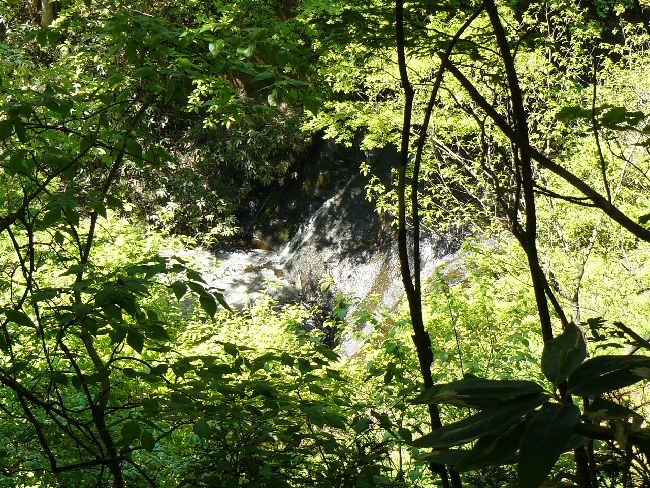 �J�n�s����