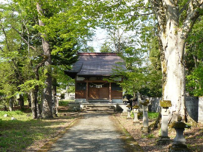 ���R�����_��