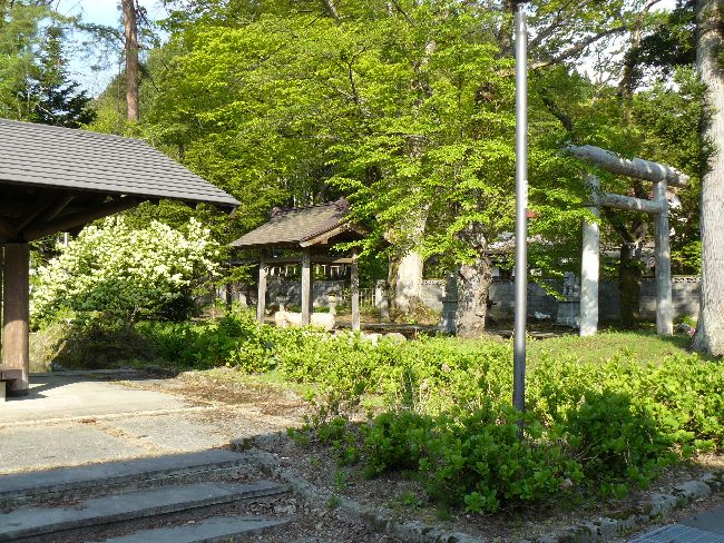 ���R�����_��