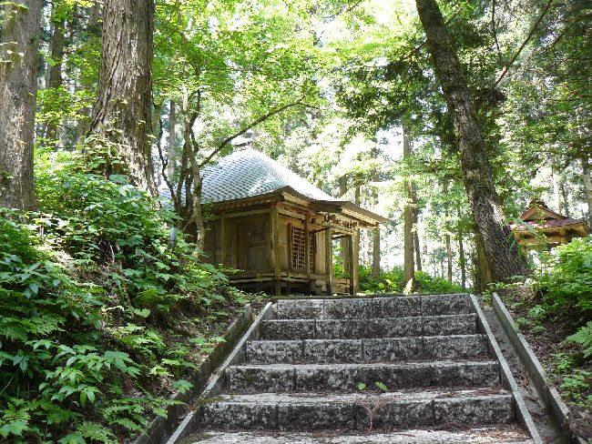 ��t��(�{�o�@)