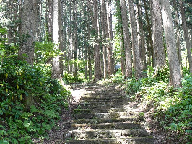 ��t��(�{�o�@)