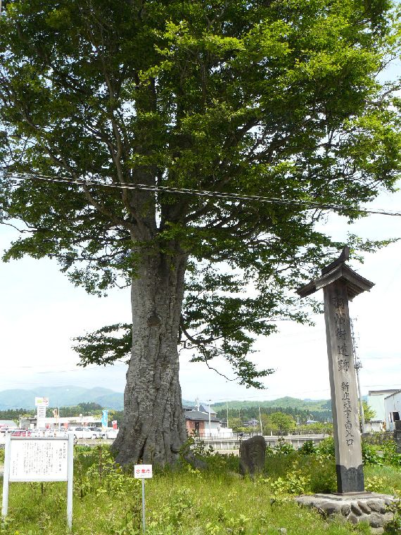 ���z�ꗢ��