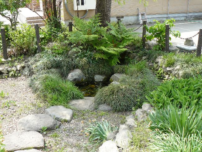 ���̐���