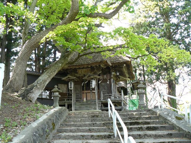 �V���_��