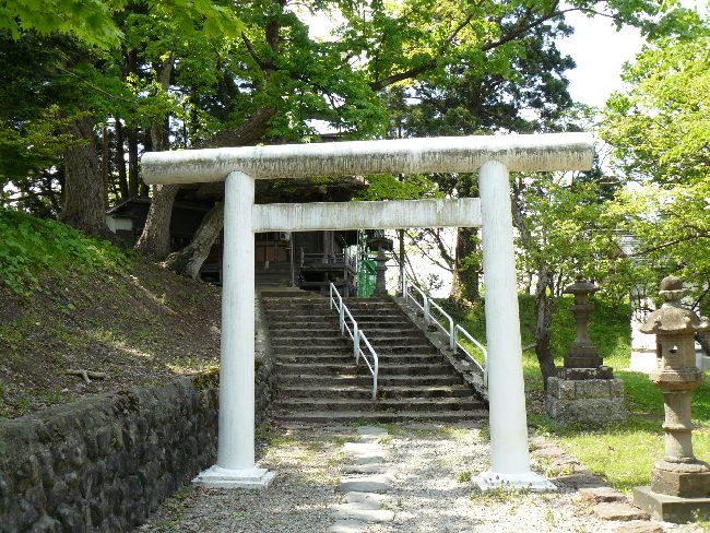 �V���_��