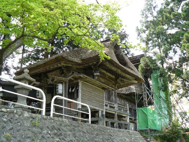 �V���_��