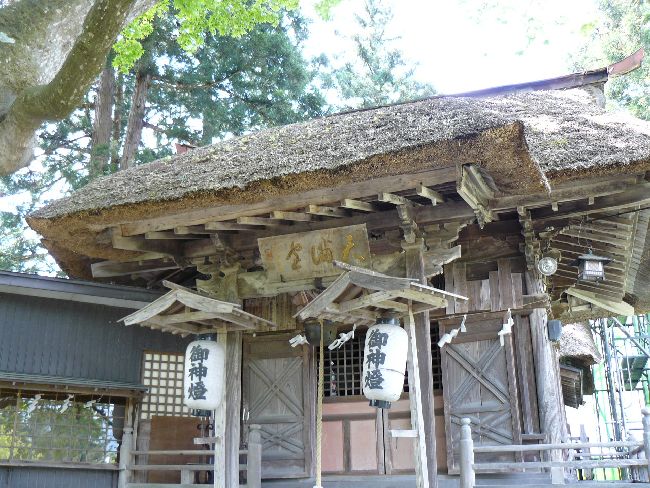 �V���_��