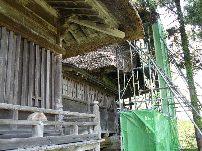 �V���_��