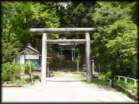 ���z�����_��