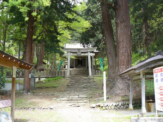 ���z�����_��