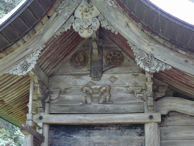 ���z�����_��