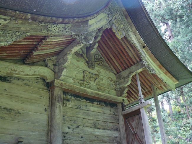 ���z�����_��