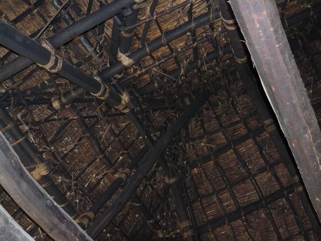 �����ƏZ��