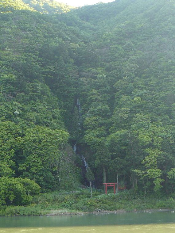 �����̑�