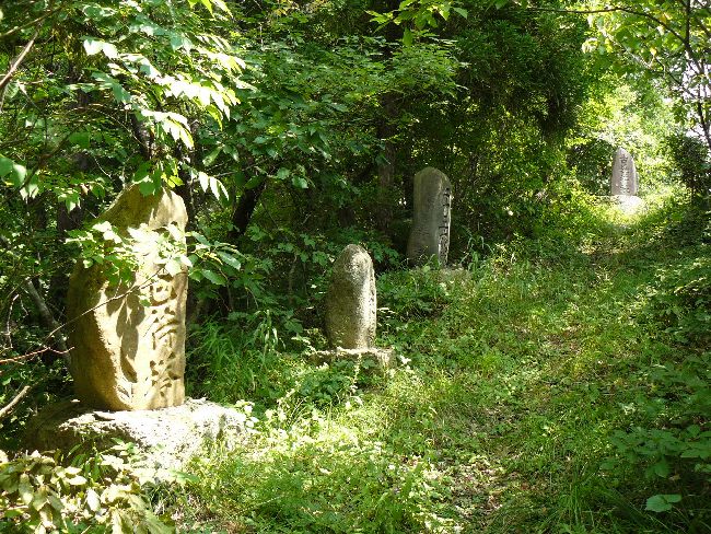 �����ω�