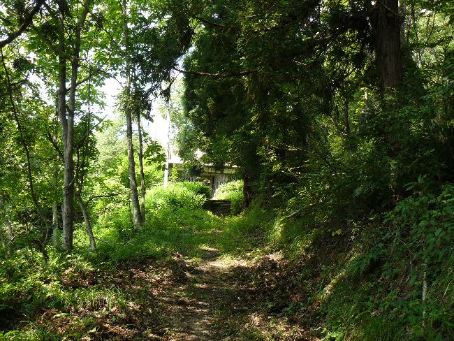 �����ω�