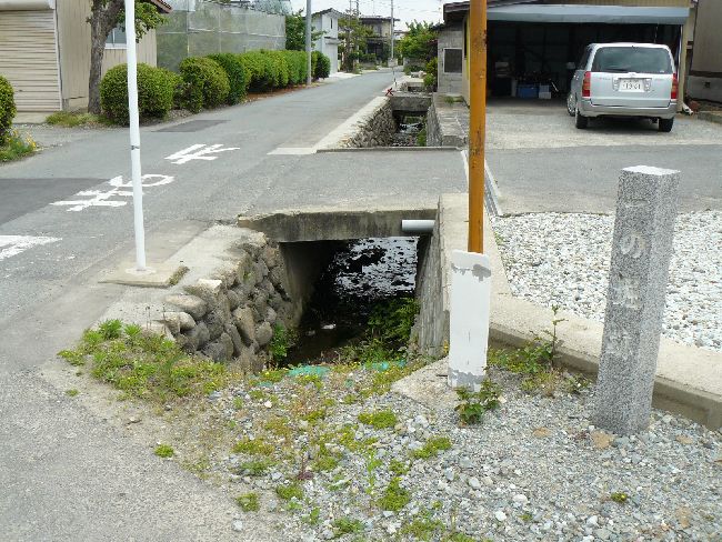 ���ҏ�i�w���j