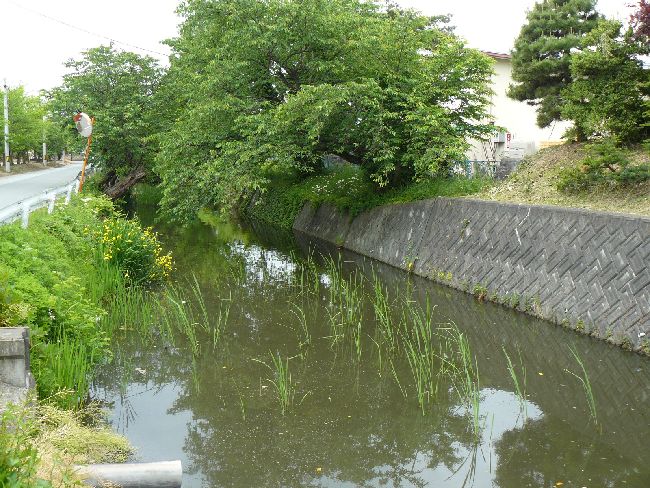 ���ҏ�i�w���j