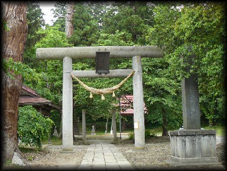 ��{�����_��