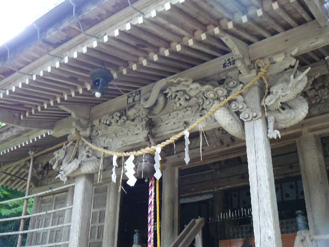 ��{�����_��