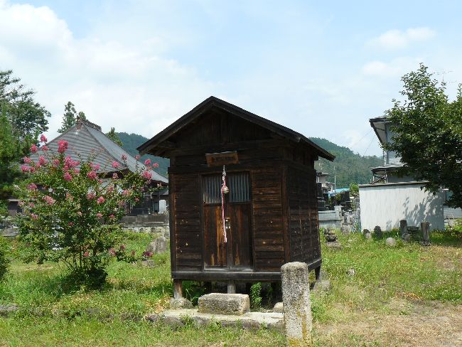 ��������t��