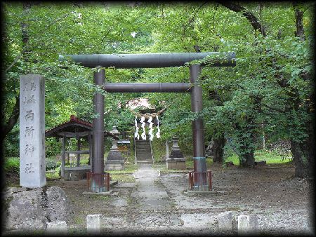 �����_��