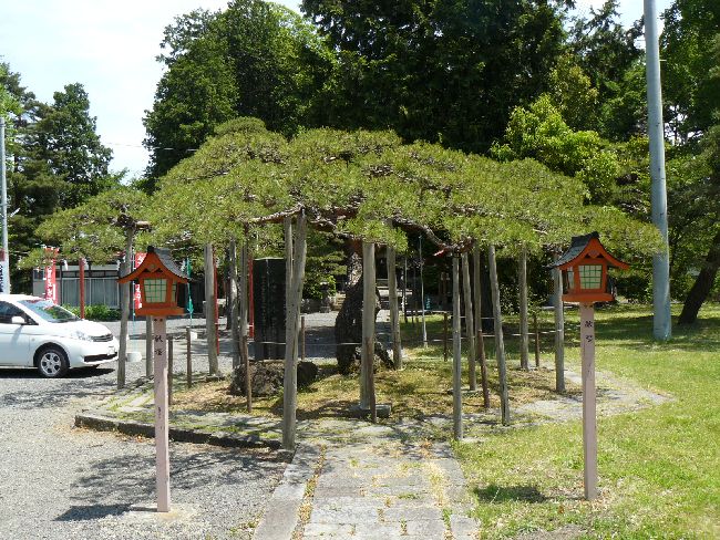 �����_��