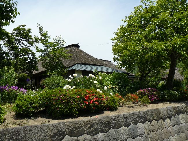 �R�c�ƏZ��