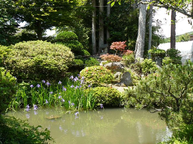 �R�c�ƏZ��