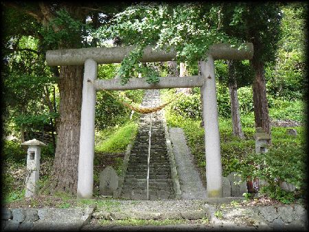 �����_��