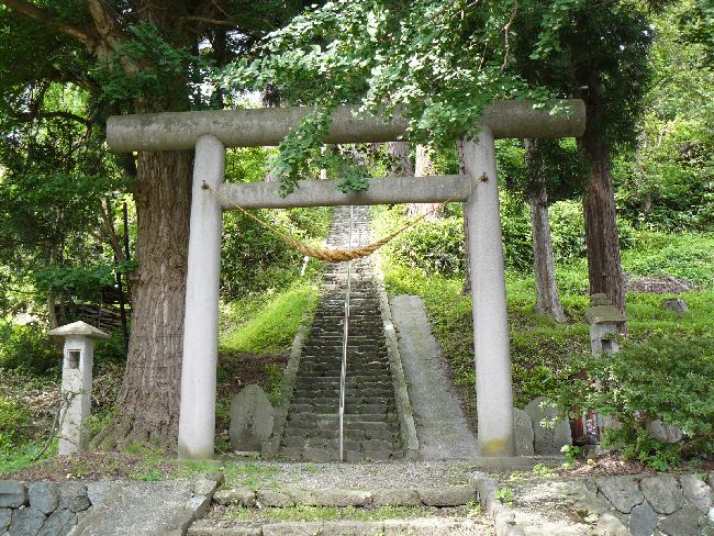 �����_��