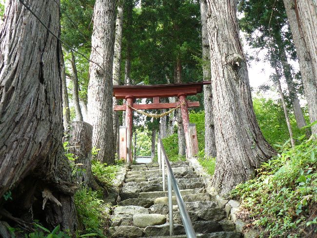 �����_��