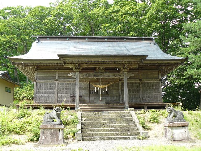 �����_��