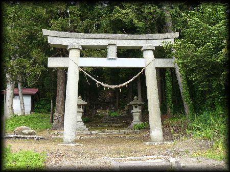 �����_��