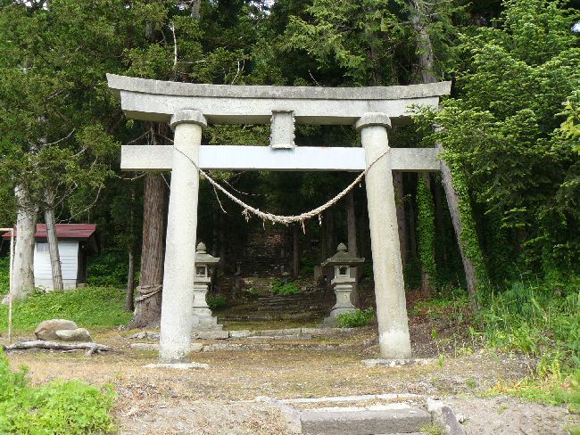 �����_��