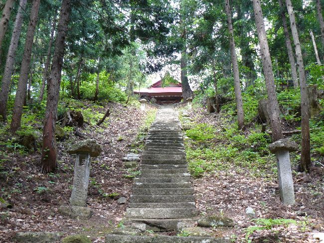 �����_��