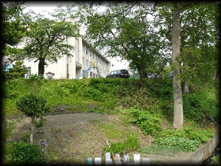 ���ԑ�w��